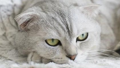 九游体育首页——开启你的全新体育娱乐体验